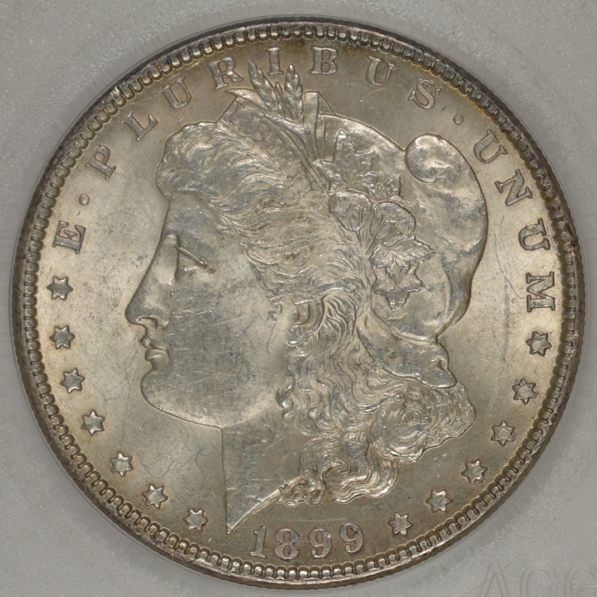 1899 U.S. $1 - Morgan Silver Dollar - ACG MS63